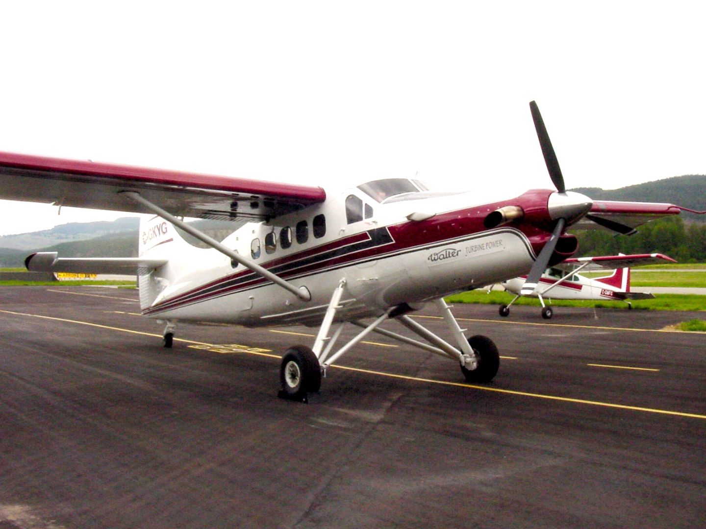 Walter Turbine Otter Conversion